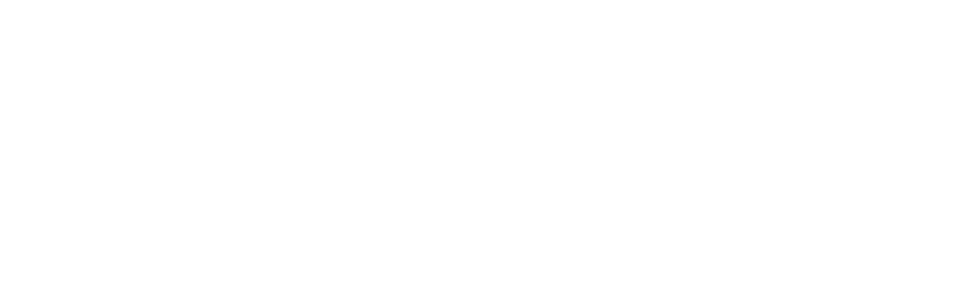 karin-no9-logo2